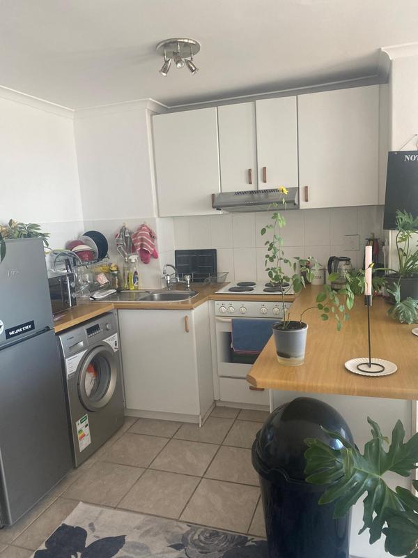 To Let 1 Bedroom Property for Rent in Vredehoek Western Cape